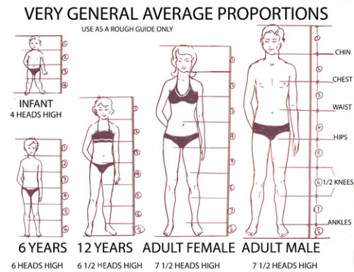 Healthy body proportions